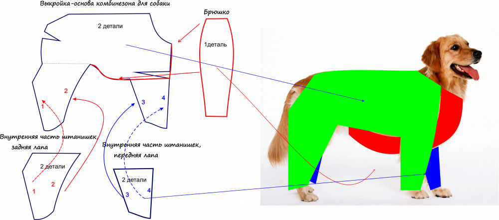 Как сшить комбинезон для собаки?
