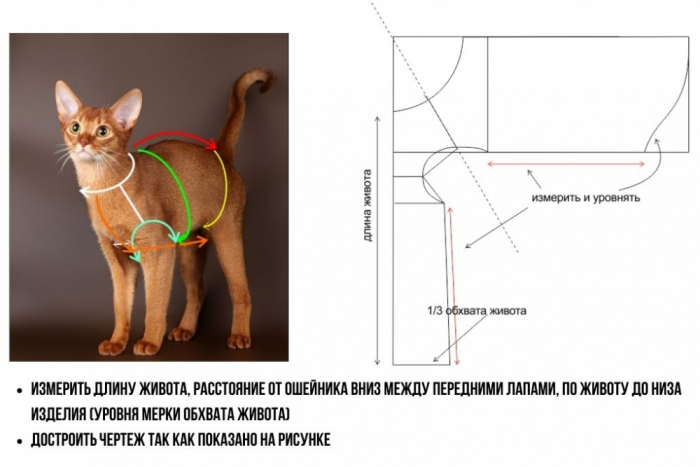 Футболка с котом и выкройка кофты своими руками