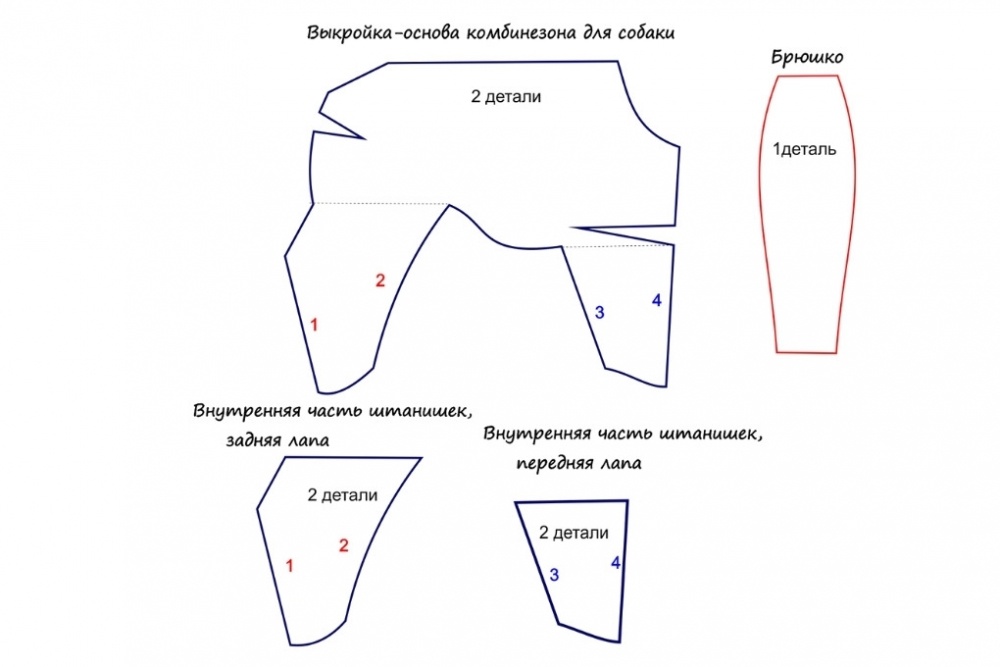 Одеваемся с иголочки: выкройки одежды для собачек