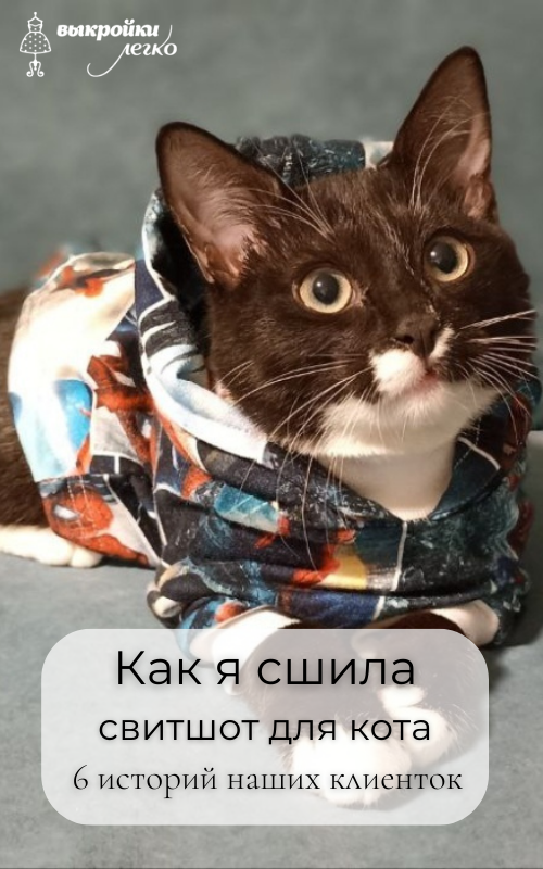 Как я сшила свитшот для кота