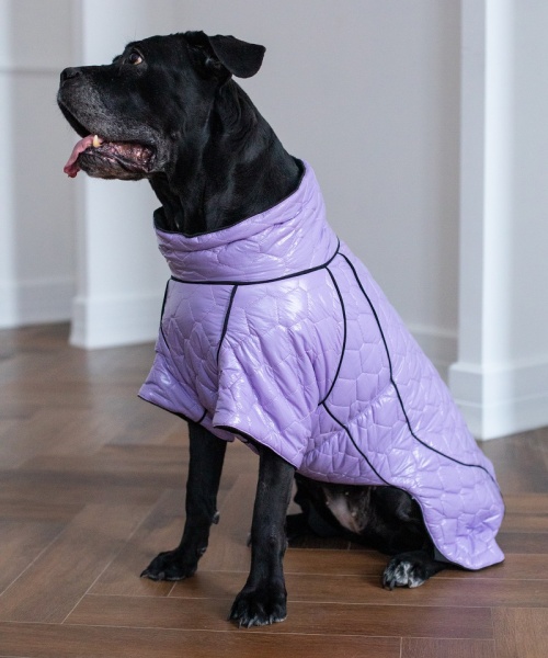 Выкройка куртки-попоны для собак. Тёплая коллекция «Межсезонье» фото