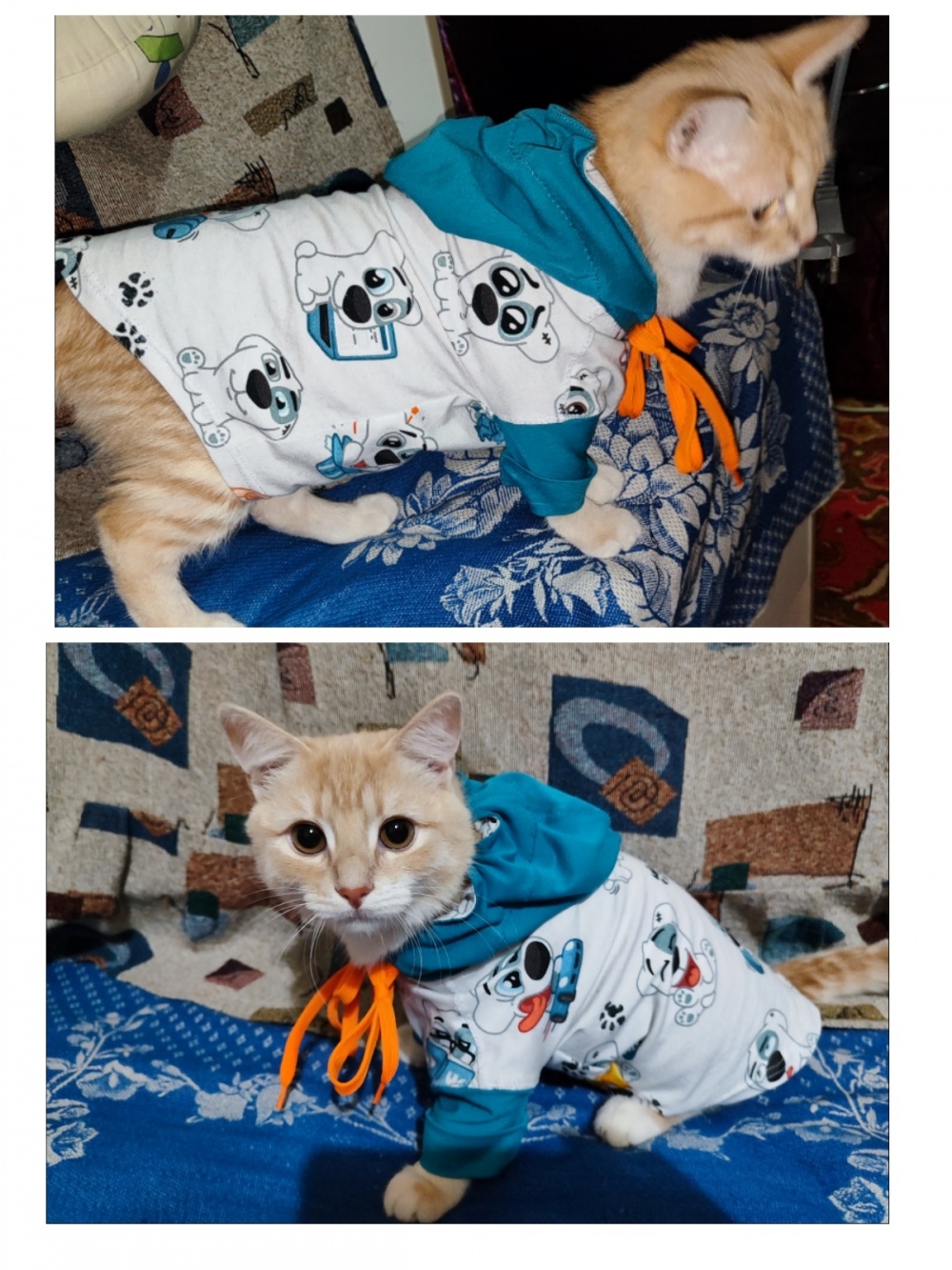Свитшот для Персика фото