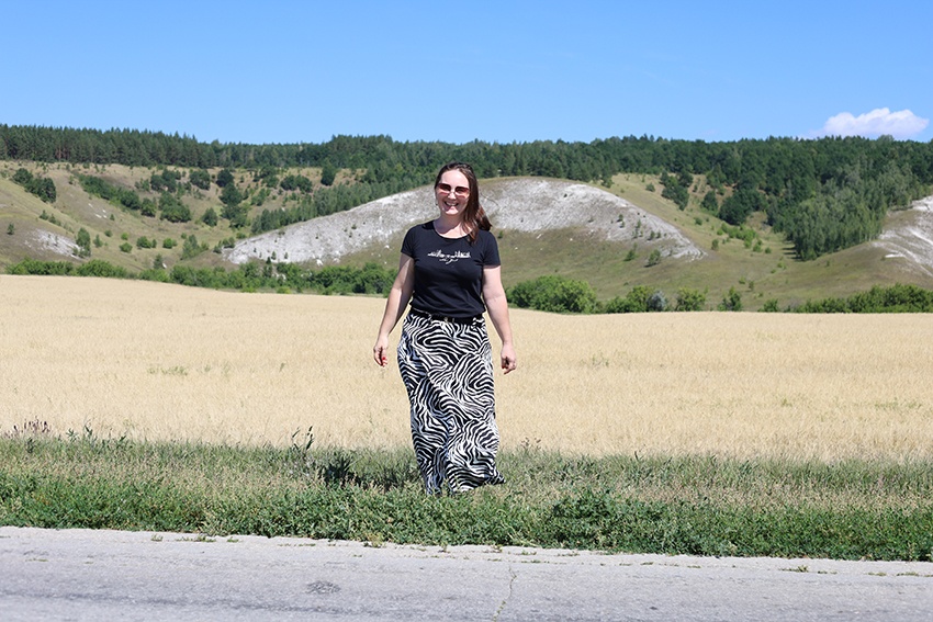 Зебра Эльмира фото