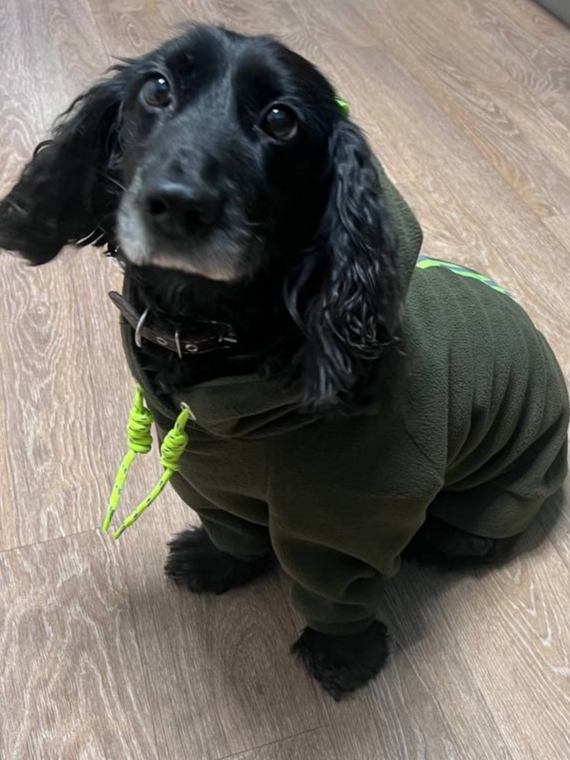 Худи для Марса фото