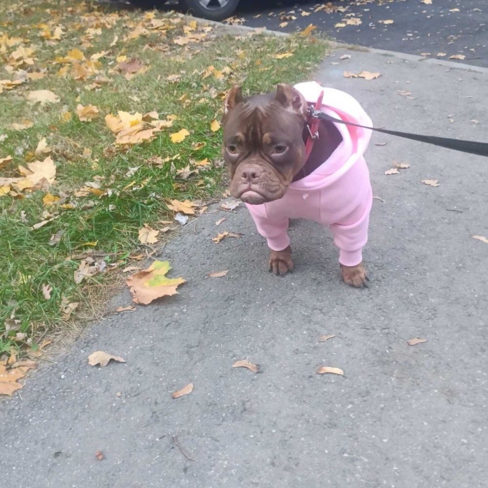 Худи для Луны фото