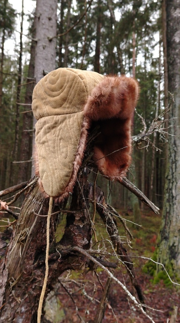 Ушанка «Болотный пень» фото