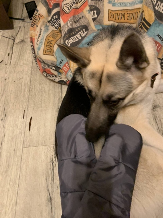 Варежки и в пир и в мир!