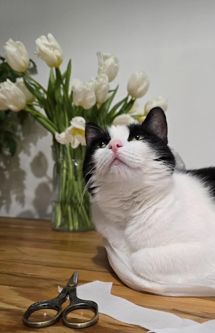 Рубашка-мечта) фото