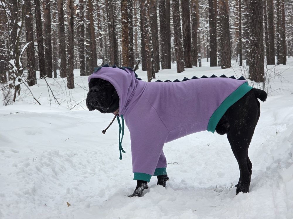 Худи Динозаврик для кане корсо фото