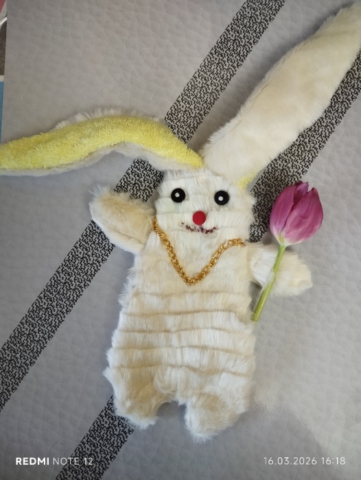 Модная зайка