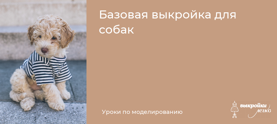 Одежда для таксы своими руками: подробное описание пошива с выкройкой и без нее, фото, видео