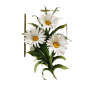 Zolotze