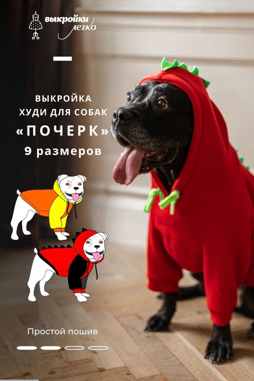 Одежда для собак